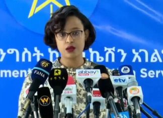 የኢፌዴሪ የመንግሥት ኮምዩኒኬሽን አገልግሎት ሚኒስትር ዴኤታ ሰላማዊት ካሳ በወቅታዊ ጉዳዮች ላይ በሰጡት መግለጫ የተነሱ ዐበይት ጉዳዮች፡፡