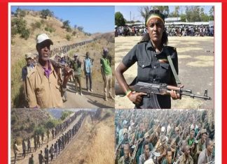 ʺአንድ ሁለት እያለ እያለሳለሰ፣ የሼህ ሁሴን ጅብሪል ትንቢቱ ደረሰ”