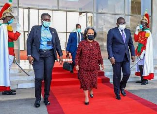 ፕሬዚዳንት ሣኅለወርቅ ዘውዴ በተለያዩ ጉዳዮች ዙሪያ ለመወያየት አቢጃን ከተማ ገቡ።