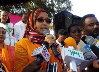 ኢትዮጵያን ወደ ከፍታ ማማ ከመጓዝ የሚያግዳት አንድም ኀይል እንደማይኖር የመስኖና ቆላማ አካባቢዎች ሚኒስትር ኢንጂነር አይሻ መሐመድ ተናገሩ፡፡