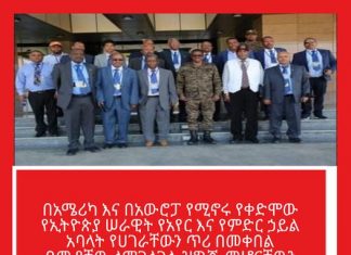 በአሜሪካ እና በአውሮፓ የሚኖሩ የቀድሞው የኢትዮጵያ ሠራዊት የአየር እና የምድር ኃይል አባላት የሀገራቸውን ጥሪ በመቀበል በሙያቸው ለማገልገል ዝግጁ መሆናቸውን ገለጹ፡፡