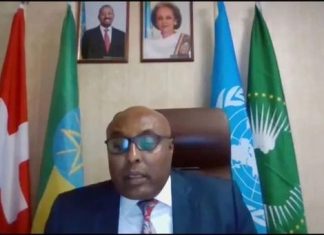 ኢትዮጵያ በተባበሩት መንግሥታት ድርጅት የሰብዓዊ መብቶች ምክር ቤት የሚተላለፉ ውሳኔዎች እንደማትቀበል አስታወቀች።