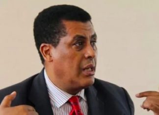 ‹‹የምክር ቤቱ ውሳኔ ለኢትዮጵያ ትርጉም የለሽ ነው›› አምባሳደር ዲና ሙፍቲ