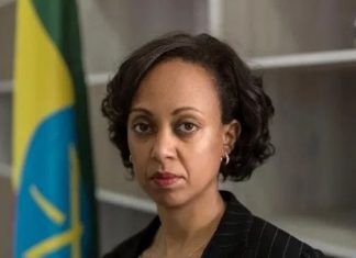 ❝በኢትዮጵያውያን እና ኢትዮጵያን በሚወዱ ኹሉ እገዛ የተጎዱ እና የወደሙ የጤና ተቋሞቻችንን በአጭር ጊዜ ውስጥ መልሰን እንደምንገነባ አልጠራጠርም❞ ዶክተር ሊያ ታደሰ
