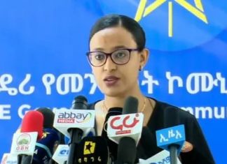 በሦስተኛው የቱርክ አፍሪካ ጉባኤ ጎን ለጎን ቱርክና ኢትዮጵያ ትብብራቸውን ማጠናከር የሚያስችሉ ስኬታማ ምክክሮች መካሄዳቸውን መንግሥት አስታወቀ፡፡