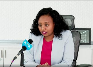 ወደ ሀገር ቤት ለሚመጡ የኢትዮጵያ ዳያስፖራዎች የኢንቨስትመንት አማራጮች መዘጋጀቱን የኢንቨስትመንት ኮሚሽን ገለጸ።