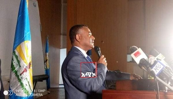 269936411_1708753269299660_6149974498089312120_n