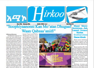 Maxxansa Gaazexaa Hirkoo Mudde 15/2014 ALI