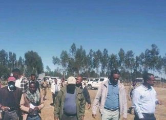 ❝በሽብር ቡድኑ ዘረፋና ውድመት የተፈጸመባቸውን ትምህርት ቤቶች መልሶ ለማቋቋም እየተሠራ ነው❞ የትምህርት ሚኒስትር ፕሮፌሰር ብርሃኑ ነጋ