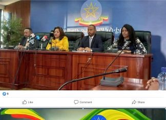 ወደ ሀገር ለሚገቡ የዳያስፖራ አባላት የተዘጋጁ ኹነቶች ይፋ ኾኑ።