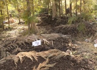 The TPLF turned schools into burial sites in Amhara Region, Ethiopia.