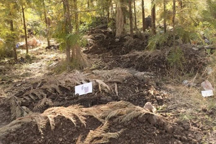 photo_2021-12-24_15-10-50