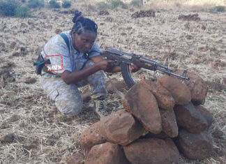 ፋኖ ዘነቡ መንግሥቴን በጨረፍታ…