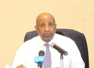 “ትምህርት ሚኒስቴር 50 ዘመናዊ አዳሪ ትምህርት ቤቶችን ያስገነባል” ፕሮፌሰር ብርሃኑ ነጋ