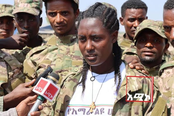 272010864_1725388357636151_5293132031322926404_n