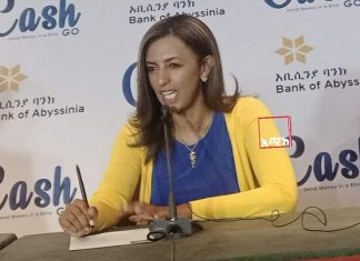 “የአንዳንድ ምዕራባውያን ሀገራት ተዕፅኖ መቋቋም የሚችል፤ ስለኢትዮጵያ መረጃ የሚያቀብል ተዕፅኖ ፈጣሪ ዓለማቀፍ ሚዲያ እንዲፈጠር እና እኔም ለሀገሬ የበኩሌን ለማበርከት ዝግጁ ነኝ” ጋዜጠኛ ሄርሜላ አረጋዊ