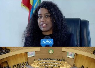 በህብረቱ የመሪዎች ጉባኤ የአፍሪካዊያንን አንድነት ይበልጥ በሚያስተሳሰር መልኩ እንግዶችን ለመቀበል ዝግጅት ተደርጓል።