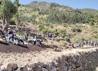 ❝ሕዝብ በጠላቱ የትግራይ ወራሪ ቡድንና ሸኔ ላይ በአንድነት እንደተነሳ ሁሉ በሚያከናውናቸው የልማት ተግባራትም ውጤታማ ሥራ ሊያከናውን ይገባል❞ የሰሜን ሸዋ ዞን ዋና አስተዳዳሪ ታደሰ ገብረፃድቅ