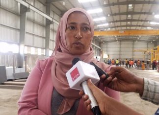 ዳያስፖራው የሚሰማራባቸው ልዩ ልዩ የኢንቨስትመንት አማራጮች መዘጋጀታቸውን የባሕር ዳር ከተማ አስተዳደር ገለጸ፡፡