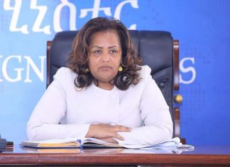 የአፍሪካ ሕብረት 35ኛው የመሪዎች ጉባኤን በስኬት ለማስተናገድ በቅንጅት መሥራት እንደሚያስፈልግ የውጭ ጉዳይ ሚኒስትር ዴኤታ አምባሳደር ብርቱካን አያኖ ገለጹ።ለመድረኩ እየተካሄደ ያለው ቅድመ ዝግጅት በጥሩ ሁኔታ ላይ እንደሚገኝም ተገልጿል።