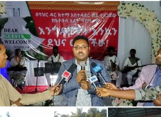 ዳያስፖራዎች በተለያዩ የኢንቨስትመንት አማራጮች መዋዕለንዋያቸውን እንዲያፈስሱ የባሕር ዳር ከተማ አስተዳደር ጥሪ አቀረበ።