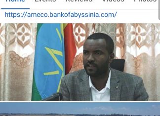 “ከተማዋ በኢንቨስትመንት ተደራሽት ብቻ ሳይሆን ለነዋሪዎቿ ምቹ በመሆን ተመራጭ እንደትሆን እየሰራን ነዉ” የደብረ ብርሃን ከተማ አስተዳደር ተቀዳሚ ምክትል ከንቲባ ካሳሁን እምቢዓለ