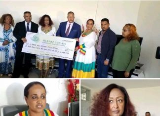 በፊንላንድ የሚኖሩ ኢትዮጵያውያንና ትውልደ ኢትዮጵያውያን ለተፈናቀሉ ወገኖች የሚውል ከአንድ ሚሊዮን ብር በላይ ድጋፍ አደረጉ።