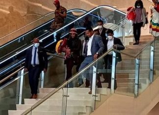 ጋዜጠኛ ሄርሜላ አረጋዊ አዲስ አበባ ገባች።