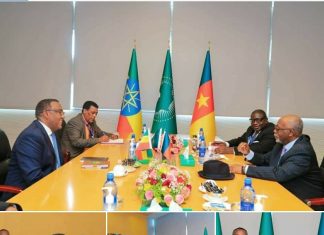 ካሜሮን ከኢትዮጵያ ጋር በተለያዩ መስኮች ትብብሯን አጠናክራ ለማስቀጠል ፍላጎት እንዳላት ገለጸች፡፡