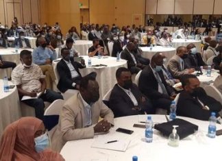 በኢትዮጵያ እየተስፋፋ የመጣውን የከተሜነት ህይወት ለማዘመን የዲያስፖራው ሚና ከፍተኛ መሆኑን የከተማና መሰረተ ልማት ሚኒስቴር አስታወቀ፡፡
