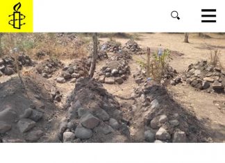 አሸባሪው የትግራይ ወራሪ ቡድን በአማራ ክልል የተለያዩ አካባቢዎች በንጹሐን ላይ ጭፍጨፋ፣ ዘረፋ እና አስገድዶ መድፈር መፈጸሙን አምነስቲ ኢንተርናሽናል አስታወቀ።