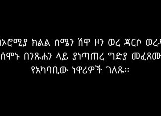 በኦሮሚያ ክልል ሰሜን ሽዋ ዞን ወረ ጃርሶ ወረዳ ከሰሞኑ በንጹሐን ላይ ያነጣጠረ ግድያ መፈጸሙን የአካባቢው ነዋሪዎች ገለጹ፡፡