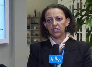 “በአፍሪካ እና አውሮፓ ሕብረት የጋራ ጉባኤ ኢትዮጵያ ያነሳቻቸው ሐሳቦች ተቀባይነት አግኝተዋል” አምባሳደር ሂሩት ዘመነ