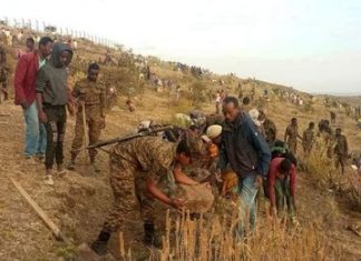 የማዕከላዊ ዕዝ የሠራዊት መሪዎችና አባላት ከዋግኽምራ ብሔረሰብ አስተዳደር ነዋሪዎች ጋር የአፈር እቀባና የእርከን ሥራ አከናወኑ።