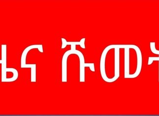 የአማራ ክልል መንግሥት በሰሜን ወሎ ዞን የተለያዩ ተቋማትን ለሚመሩ የሥራ ኃላፊዎች ሹመቶችን ሰጠ፡፡