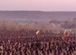 ʺድል ያለው ከተጣመሩ ክንዶች ጋር ነው”