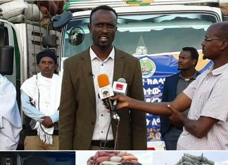 የአማራ ክልል በኦሮሚያ ክልል ቦረና ዞን በድርቅ ለተጎዱ አርብቶ አደሮች የእንስሳት መኖ ድጋፍ አደረገ።
