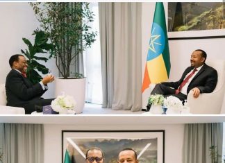 ጠቅላይ ሚኒስትር ዐቢይ አሕመድ (ዶ.ር) ከአፍሪካ ልማት ባንክ ፕሬዚዳንት ጋር ተወያዩ።