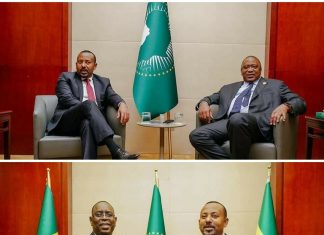 ጠቅላይ ሚኒስትሩ ከኬኒያ እና ሴኔጋል ፕሬዚዳንቶች ጋር በኹለትዮሽ ጉዳዮች ላይ መከሩ።