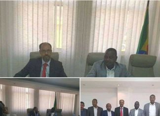 የአማራና ቤኒሻንጉል ጉሙዝ ክልሎች ርእሳነ-መስተዳድሮች በወቅታዊ ጉዳይ ላይ ተወያዩ።