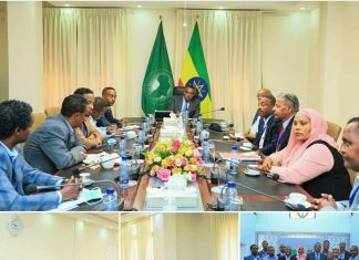 በሀገሪቱ ላይ የሚደርሱ ውጫዊ ጫናዎችን በአንድነት ከመመከት ባሻገር በብሔራዊ ደረጃ የተጀመረውን ዘላቂ ሰላም እና ዕድገት የማረጋገጥ ጥረት በሕብረት መደገፍ እንደሚገባ አቶ ደመቀ መኮንን አሳሰቡ።