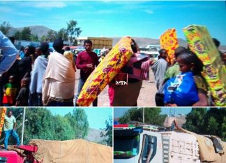 ❝የተፈናቀሉ ወገኖችን ጊዜያዊ ችግር ለማቃለል በክልሉና በአጋር አካላት ሰብዓዊ ድጋፍ ለማድረስ ጥረት እየተደረገ ነው❞ የአማራ ክልል አደጋ መከላከልና ምግብ ዋስትና ኮሚሽን ኮሚሽነር ዘላለም ልጃለም