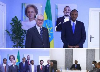 የብራዚል ኩባንያዎች በኢትዮጵያ የኢነርጂ ልማት ዘርፍ ለመሰማራት ፍላጎት እንዳላቸው ተገለጸ።