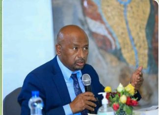 አምባሳደሮች ታላቁ የኢትዮጵያ ህዳሴ ግድብን በሚመለከት በዕውቀት ላይ የተመሰረተ መረጀ መስጠት እንዳለባቸው ተገለፀ።