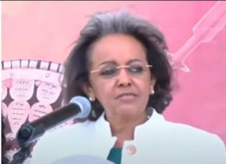 “የዓድዋ ድል በነፃዋ ሀገር የምናከብረው የነጻነት በዓል ነው” ፕሬዝዳንት ሳህለወርቅ ዘውዴ