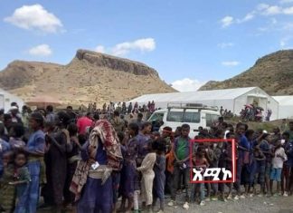 የዋግ ተፈናቃይ አርሶ አደሮች ወደ ቀያቸው ተመልሰው እንዲያርሱ ትኩረት እንዲሰጥ ተጠየቀ፡፡