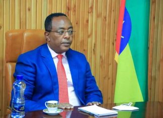 የውጭ ቀጥታ ኢንቨስትመንትን ለመሳብ እየተሠራ መኾኑን የውጭ ጉዳይ ሚኒስትር ዴኤታ አምባሳደር ሬድዋን ሁሴን ተናገሩ።