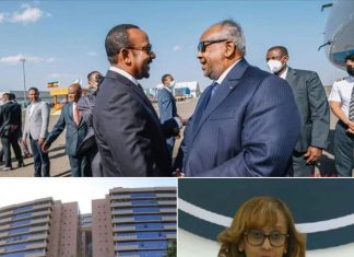 ጠቅላይ ሚኒስትር ዐቢይ አህመድ ከጂቡቲው ፕሬዚዳንት ጋር በሁለትዮሽና ቀጣናዊ ጉዳዮች ዙሪያ ተወያዩ።