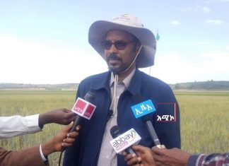 በክልሉ በመስኖ ልማት ተስፋ ሰጪ የበጋ ምርት መመልከታቸውን ርእሰ መሥተዳድር ይልቃል ከፋለ (ዶ.ር) ተናገሩ።