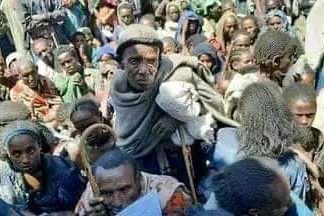 ‹‹ወቅታዊውን የዋግ ሕዝብ የከፋ ችግር መመልከት እና ምላሽ መስጠት ከኢትዮጵያዊነት በላይ ሰብዓዊነትም ነው!››